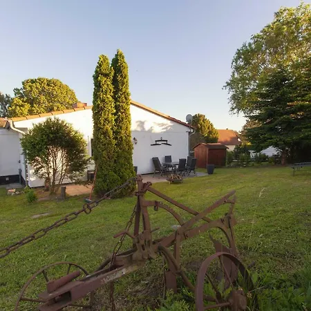 Ferienhaus Uns Luett Schaaphus